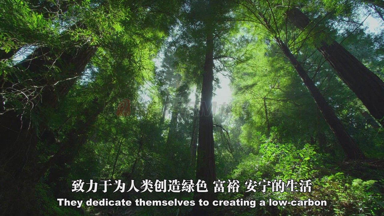 ʽƬʽ һƬ졷