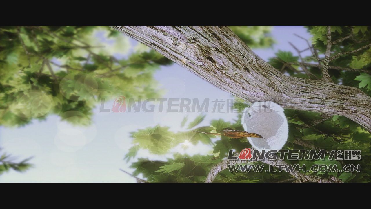 ʯչά漣ﵮ