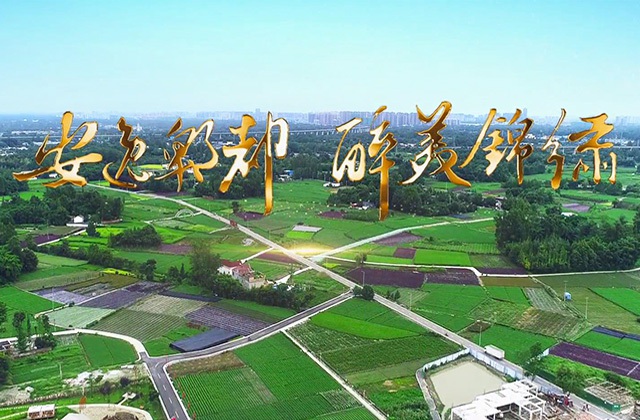 ۯƬϵ֮սƪۯ 塷